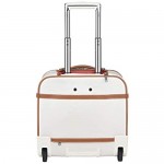 DELSEY Paris Chatelet Soft Air Luggage Under-Seater with 2 Wheels Champagne Carry-on 16 Inch