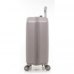 DKNY 20 Upright with 8 Spinner Wheels Clay 21 Carry On
