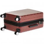 Basics Premium Hardside Spinner Luggage with Built-In TSA Lock - 2-Piece Set (21 30) Red