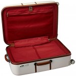 DELSEY Paris Chatelet Hardside Luggage with Spinner Wheels Champagne White Checked-Large 28 Inch with Brake