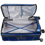 DELSEY Paris Cruise Lite Hardside 2.0 Expandable Luggage Spinner Wheels Blue Checked-Large 29 Inch