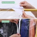 CHUENG Clear Garment Bag for Closet Storage 43 Inch Hanging Clothes Protectors Dust Proof Coat Covers Suit Bags Heavy Duty Lightweight Clear Pack of 1