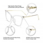 FEISEDY Oversized Cat Eye Glasses Frame with Clear Lenses Eyewear for Women B2460