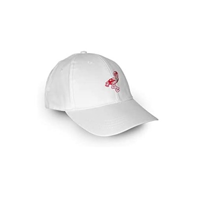 TBV Shop Cotton White Hat Unisex Embroidered Headwear Adjustable Dad Baseball Caps