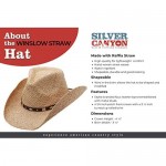 Raffia Straw Western Cowboy Summer Sun Hat Silver Canyon Natural